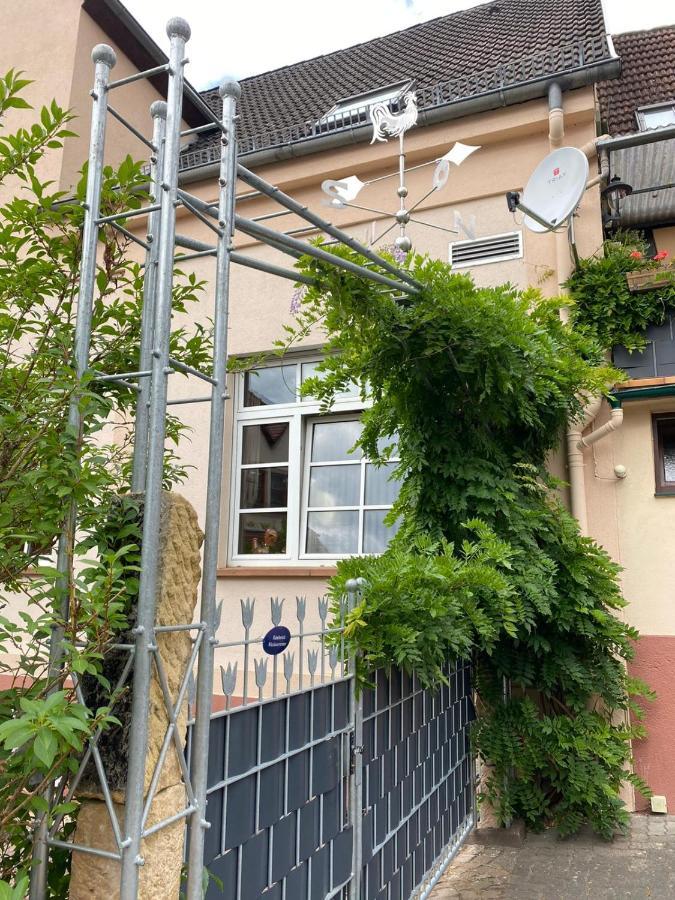 Pension - Gaestehaus Zum Pfaelzerwald Hinterweidenthal Zewnętrze zdjęcie
