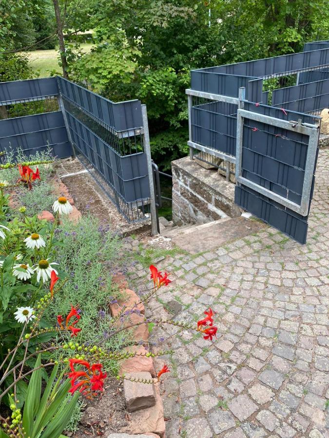 Pension - Gaestehaus Zum Pfaelzerwald Hinterweidenthal Zewnętrze zdjęcie