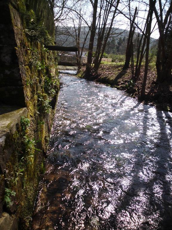 Pension - Gaestehaus Zum Pfaelzerwald Hinterweidenthal Zewnętrze zdjęcie