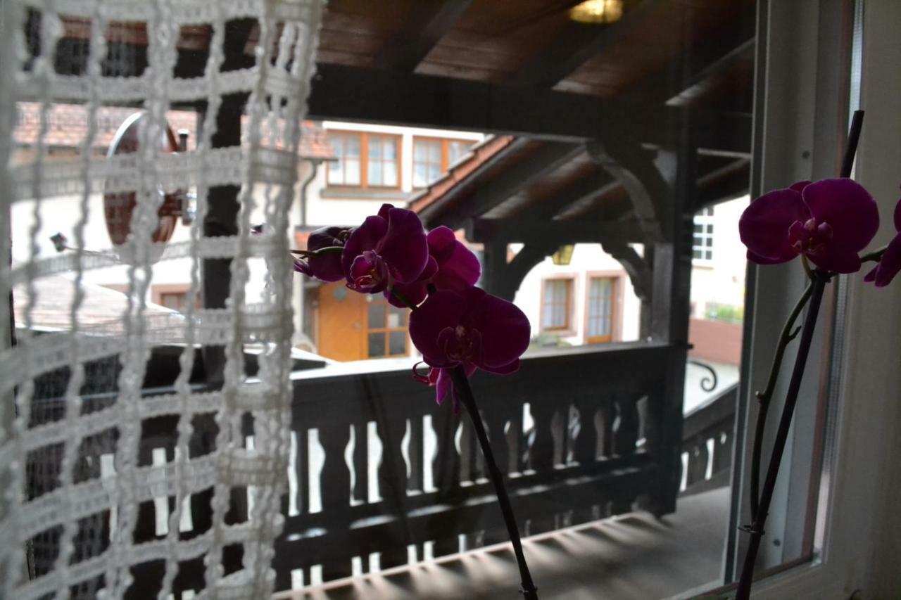 Pension - Gaestehaus Zum Pfaelzerwald Hinterweidenthal Zewnętrze zdjęcie